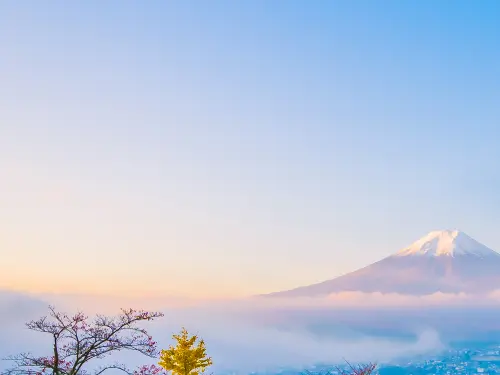 Quanto Custa para Tirar Visto do Japão