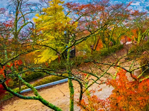 Quanto Custa para Tirar Visto do Japão