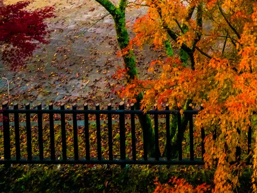 Quanto Custa para Tirar Visto do Japão